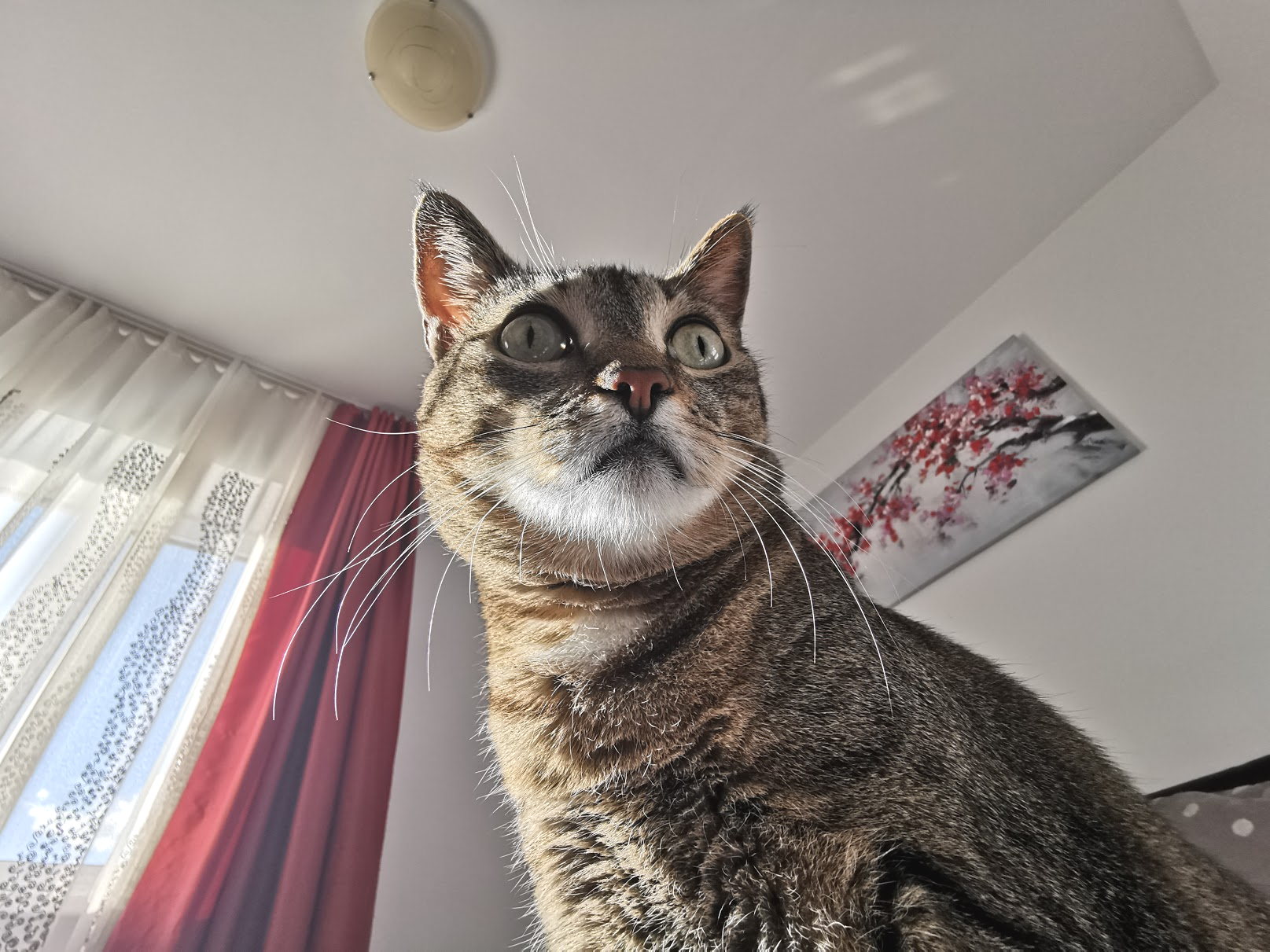 huawei mate 20 pro review camera samples aa optimized 18