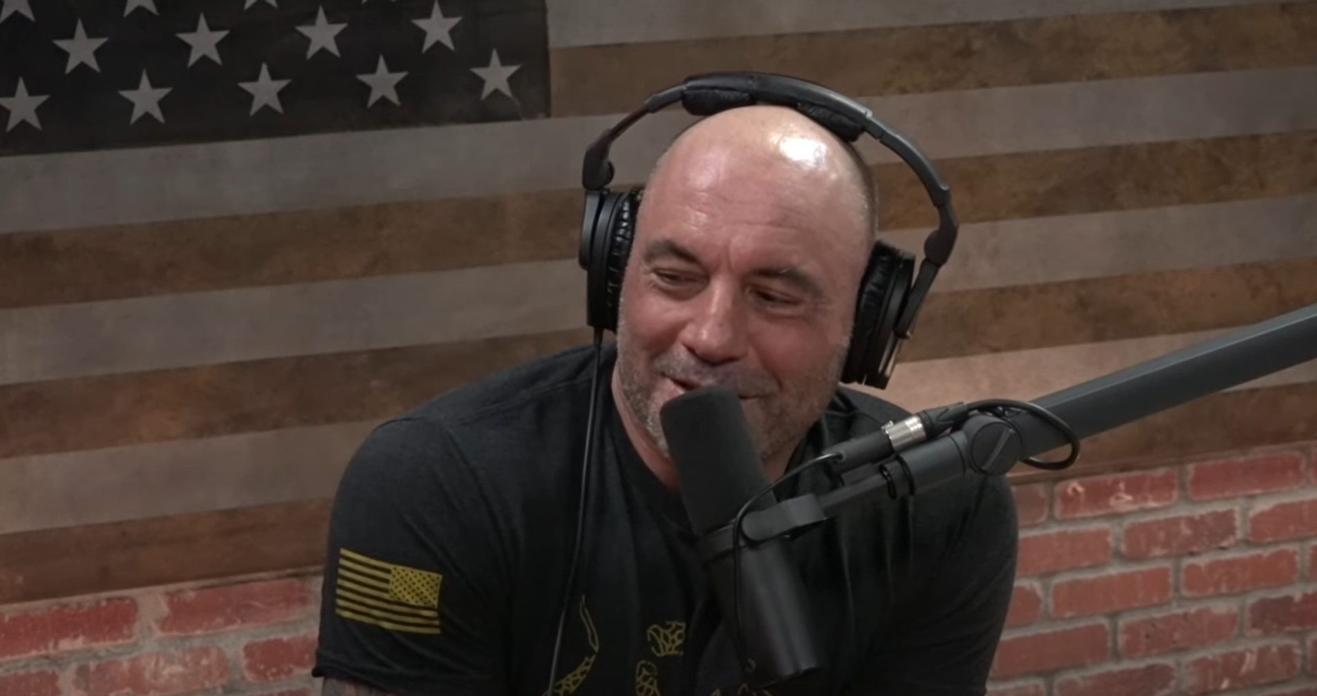 joe rogan joe rogan