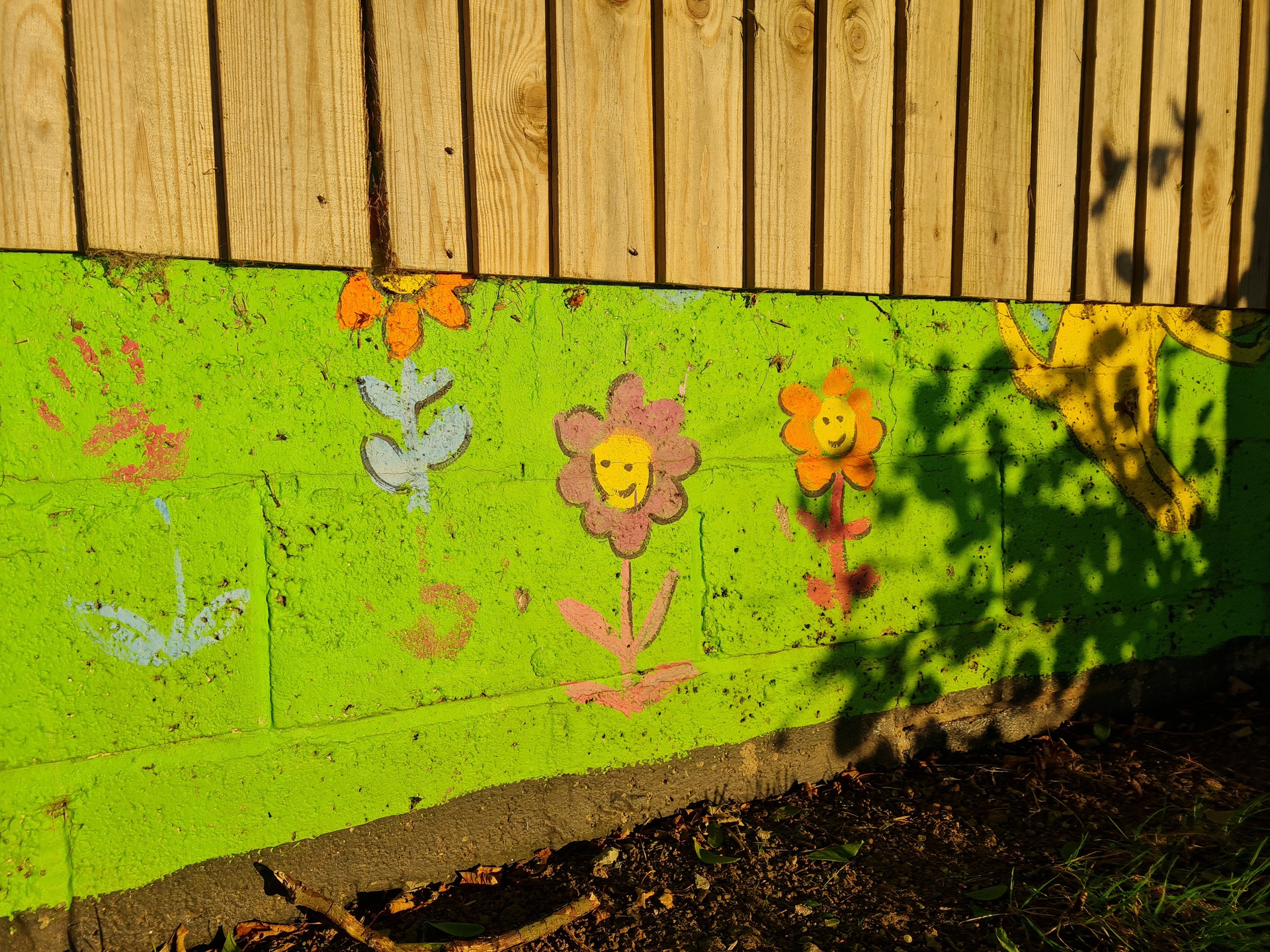 samsung galaxy note 20 camera sample 13 1