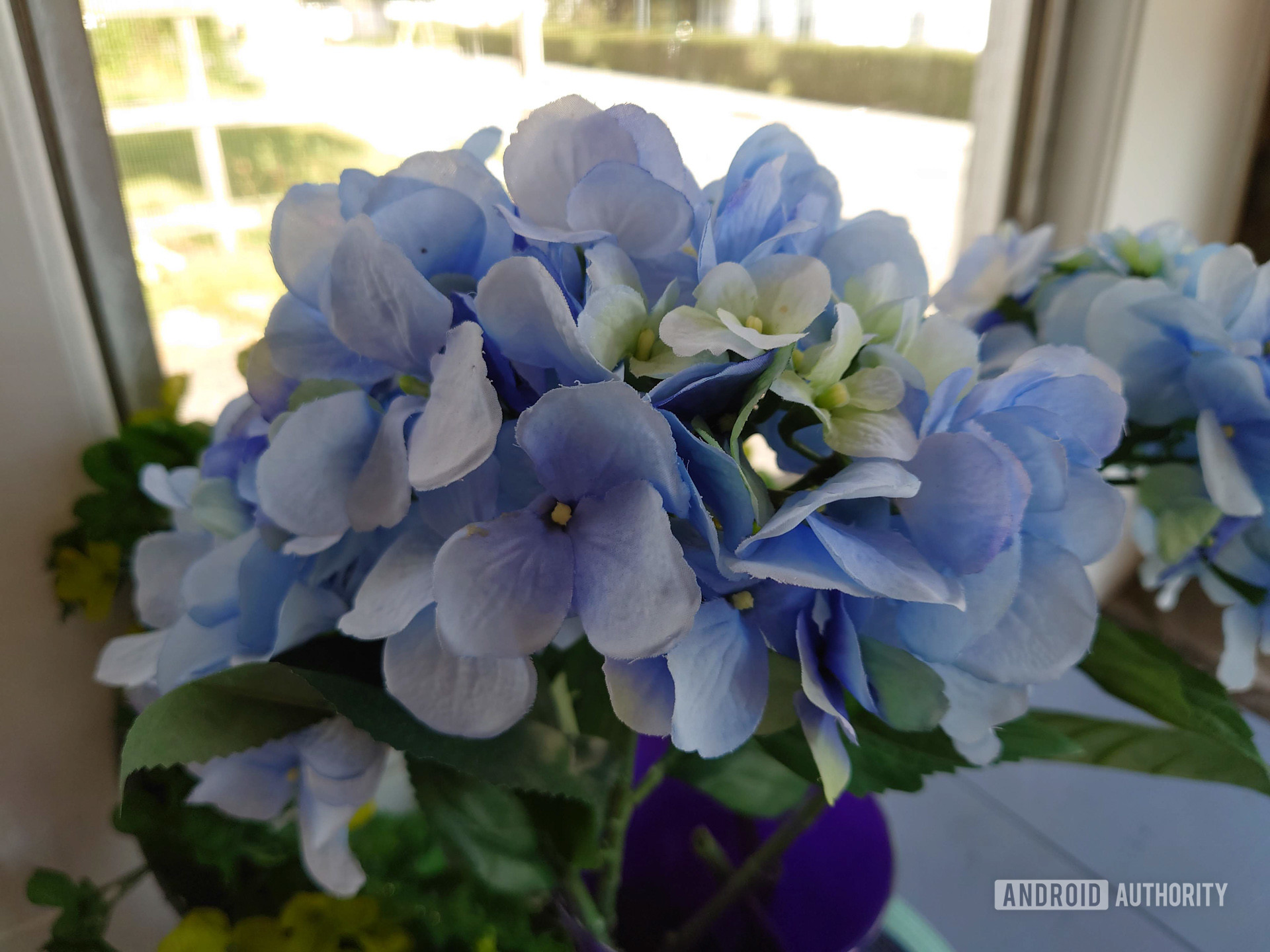 Sony Xperia 5 II Flower Pro Shot