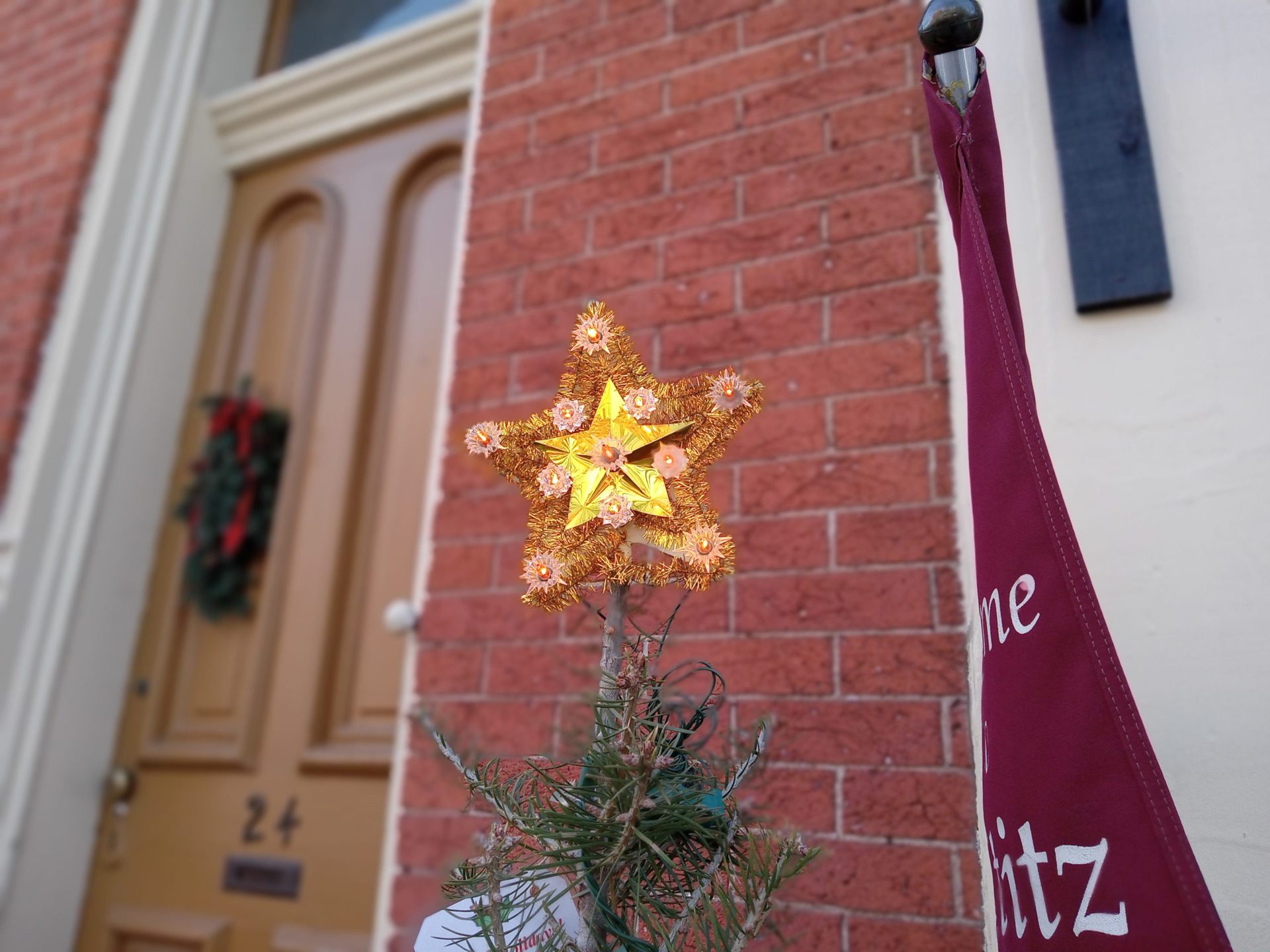 galaxy a03s portrait star on top of a small Christmas tree outdoors