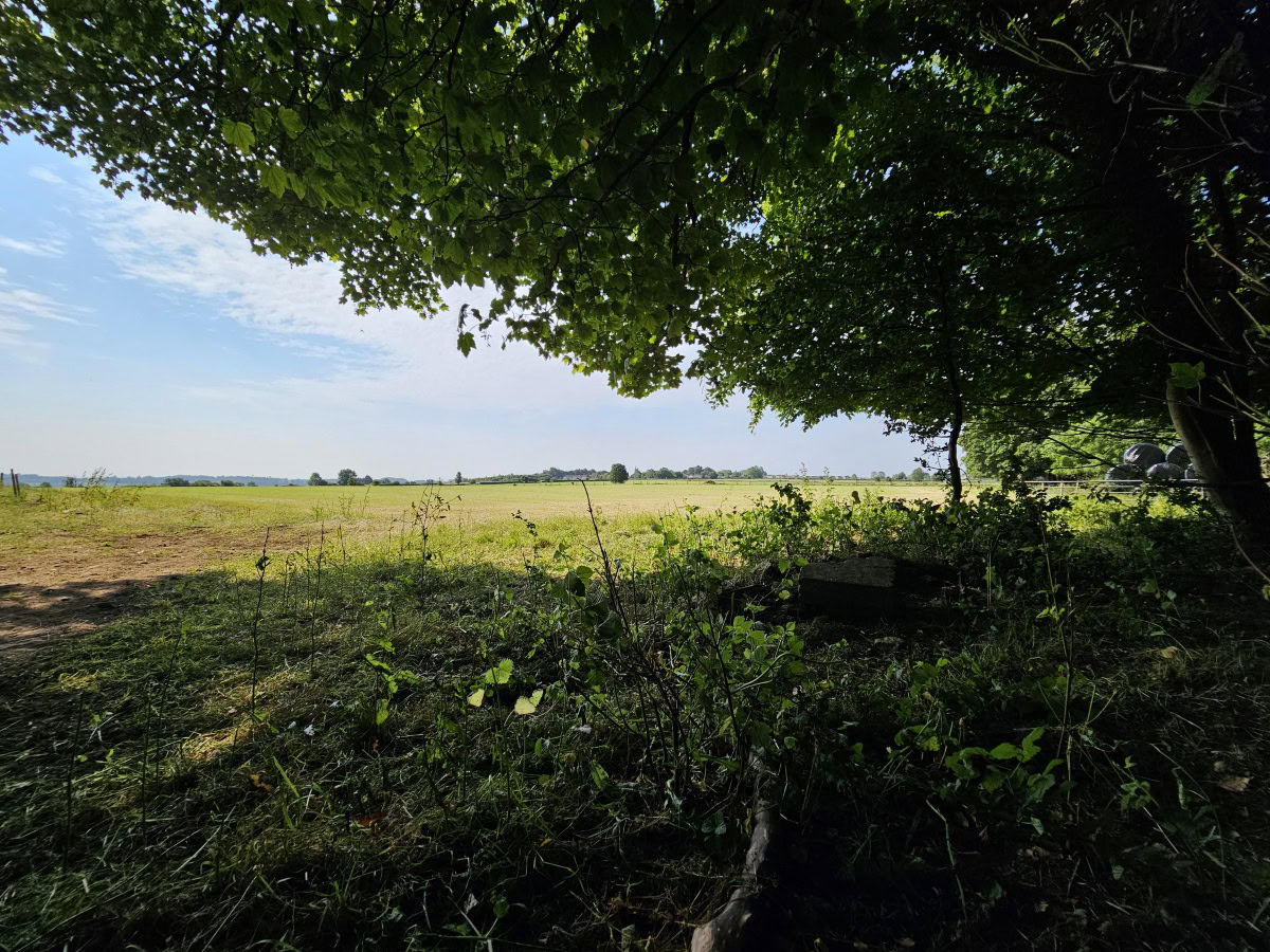 HDR Woodland ultrawide camera sample Samsung Galaxy S23 Ultra