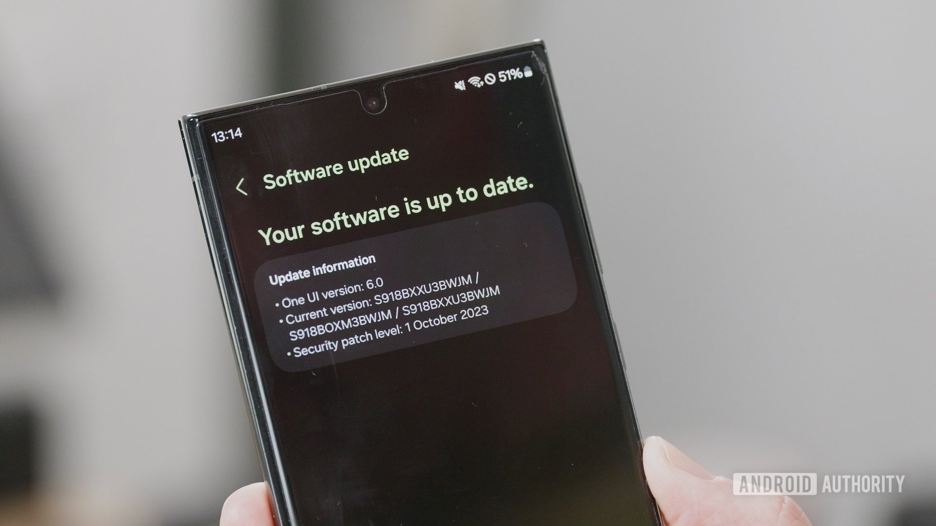 One UI 6 software update screen One UI 6 software update screen