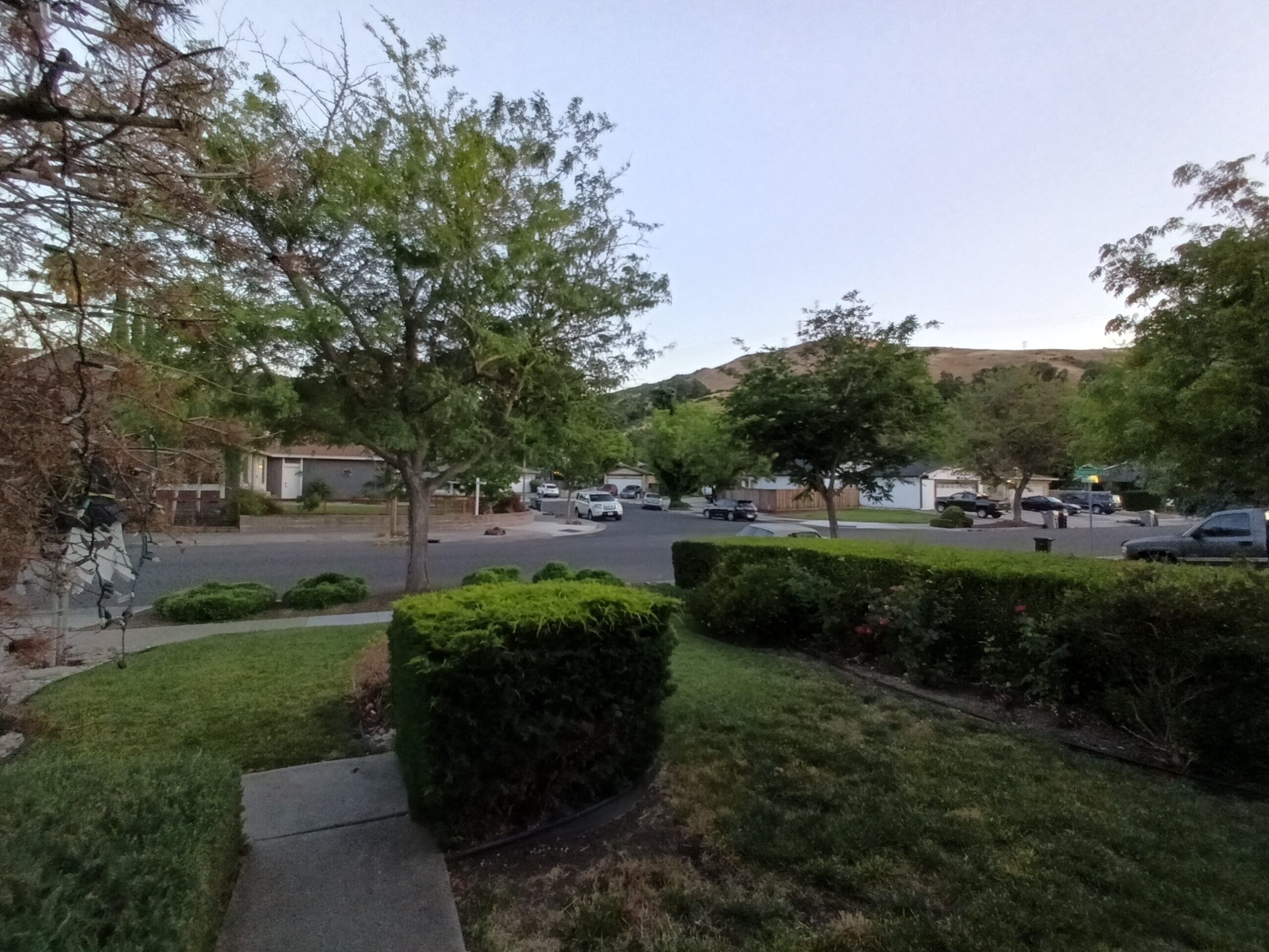 TCL 50 XL 5G review camera sample