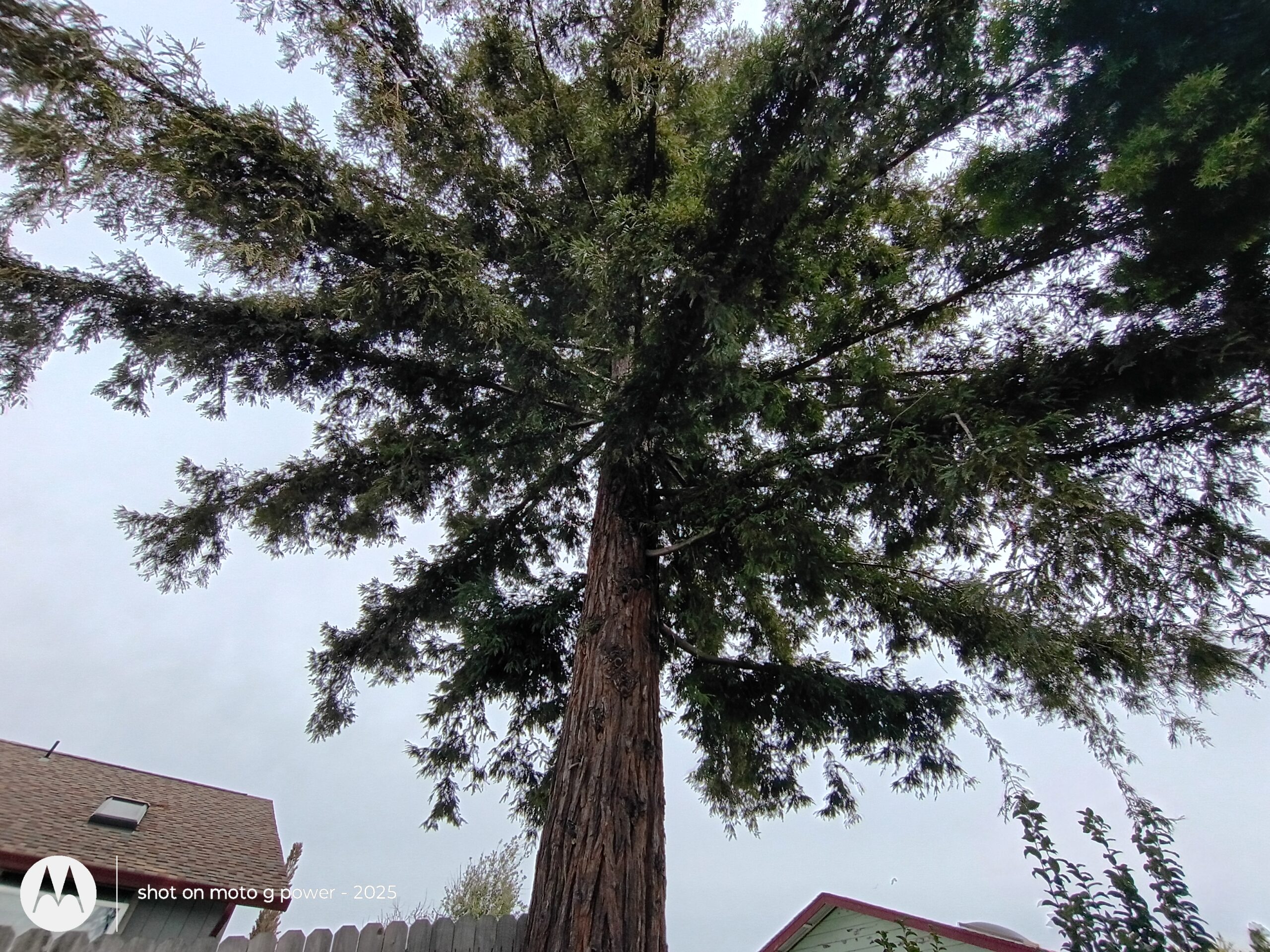 Moto G Power 2025 review camera samples