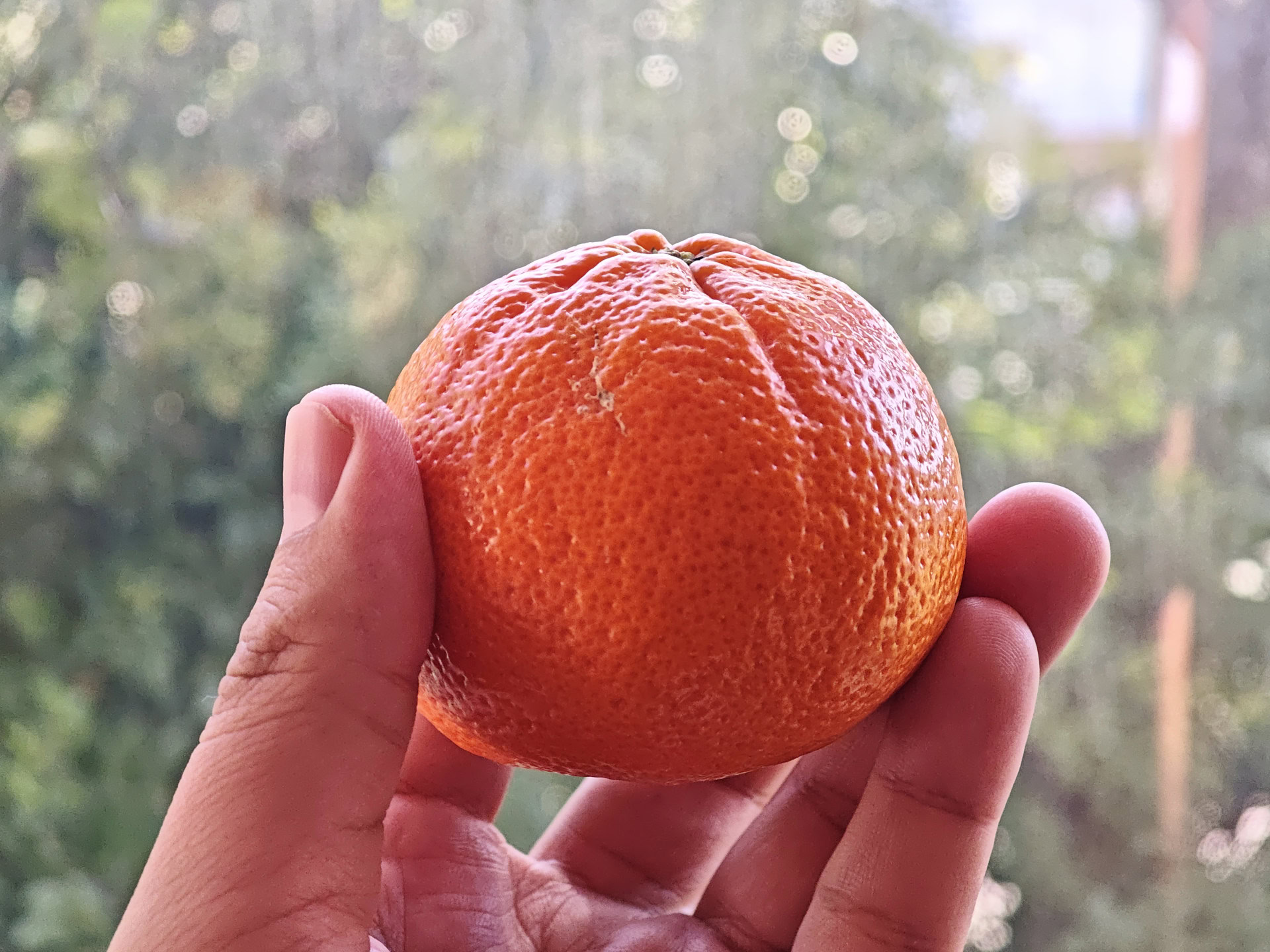 POCO F7 Ultra tangerine macro